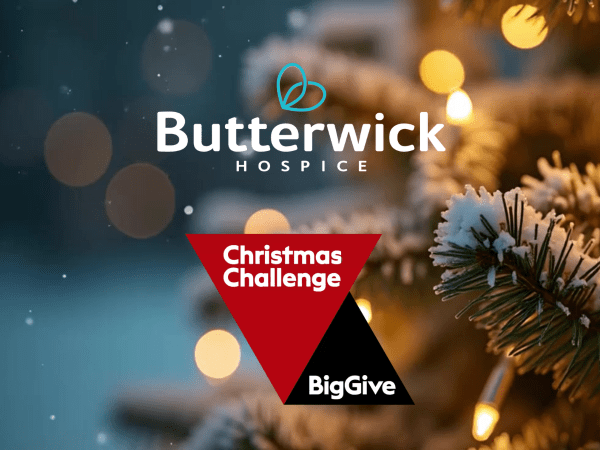 Big Give Christmas Campaign 2025